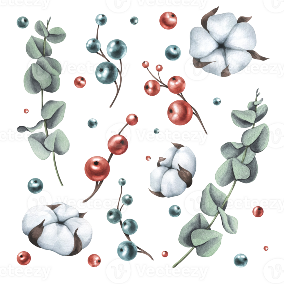 bomull blomställningar, dekorativ bär och eukalyptus. vattenfärg illustration. isolerat objekt från en stor uppsättning av mysigt vinter. för dekoration, design, kompositioner, dekor. png