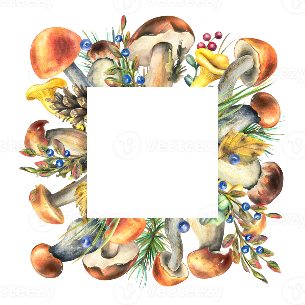 Forest mushrooms, boletus, chanterelles and blueberries, lingonberries, twigs, cones, leaves. Watercolor illustration frame, hand drawn template png