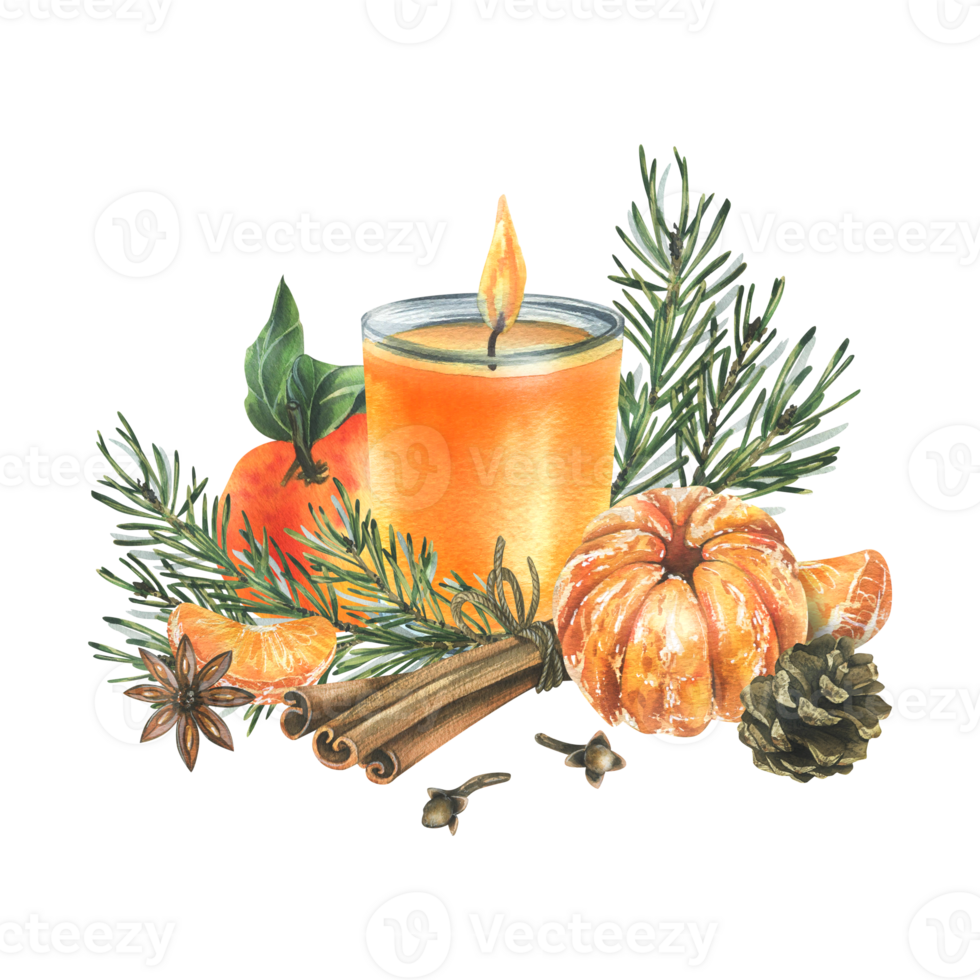 Christmas candle orange with tangerines, pine branch and cone, cinnamon spices, anise star and cloves. Watercolor illustration, hand drawn. Isolated composition png