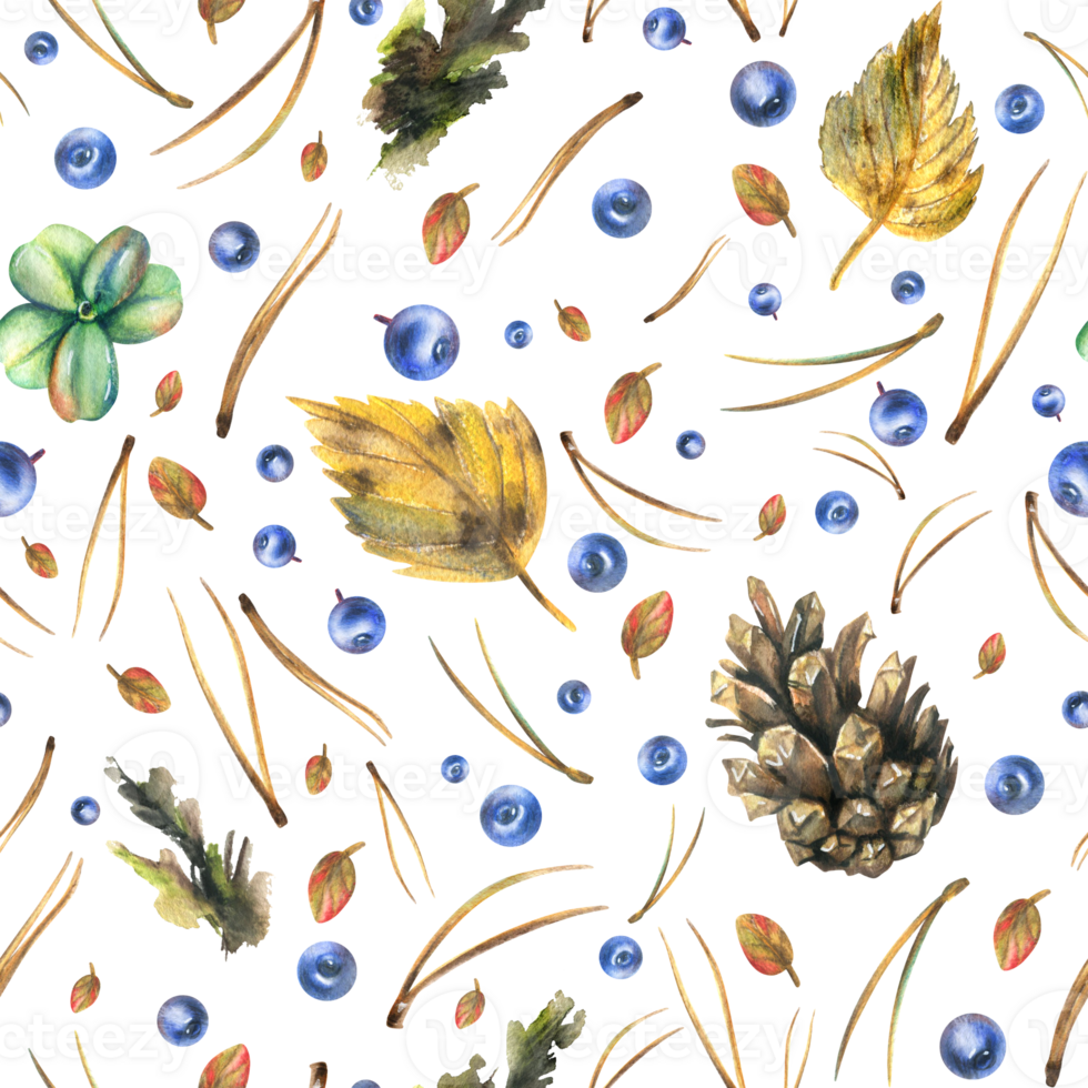 Forest, autumn leaves, pine cones and needles, moss and blueberries. Watercolor illustration, hand drawn. Seamless pattern for the design of packaging, fabric, textile, wallpaper png