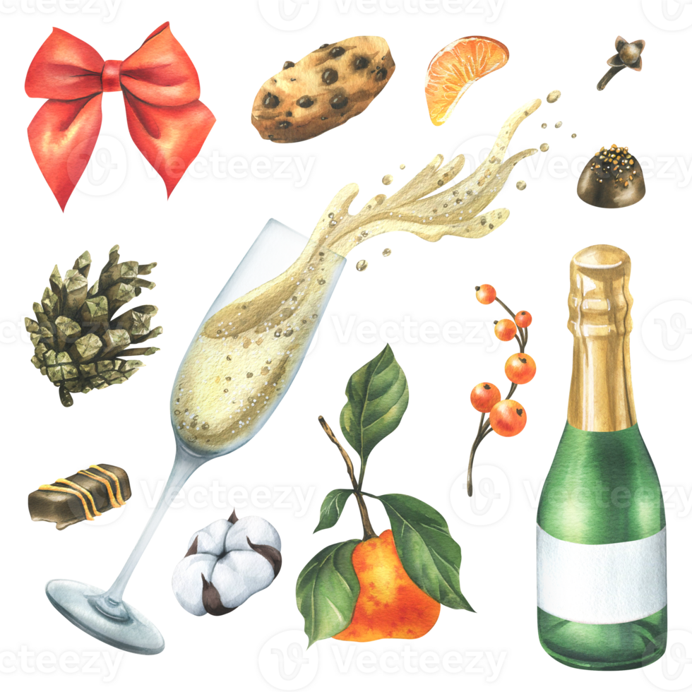 Christmas collection with tangerines, sweets, spices, champagne and plants. Watercolor illustration, hand drawn for holiday decor.. Set of isolated objects png