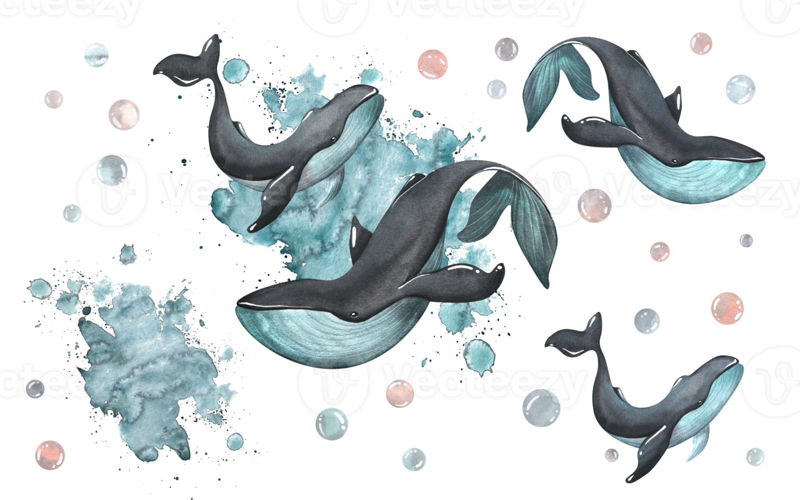 zwart walvissen met turkoois kleur Aan de achtergrond van spatten van verf. waterverf illustratie. elementen van de verzameling van walvissen. voor de ontwerp en decoratie. png