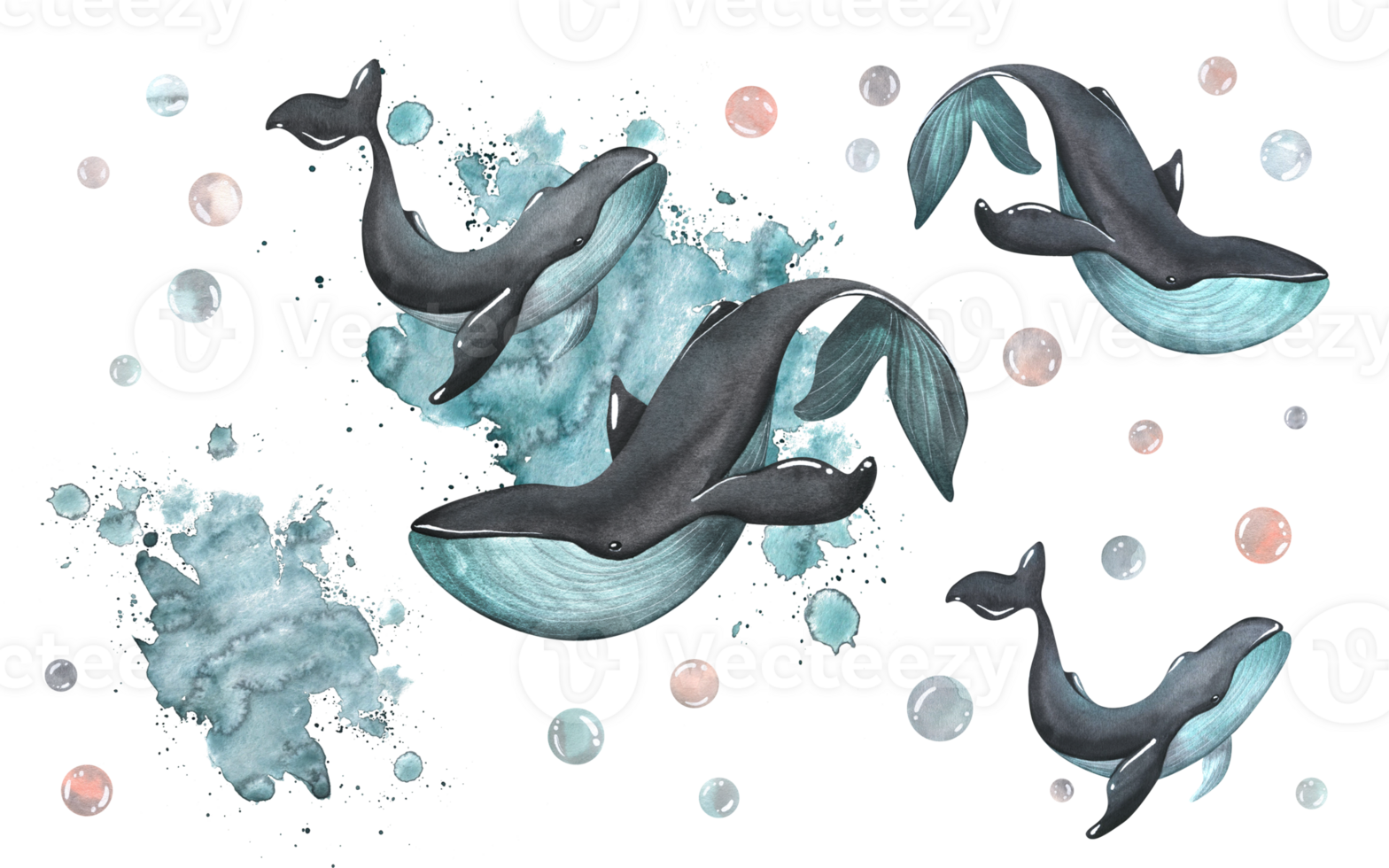 Black whales with turquoise color on the background of splashes of paint. Watercolor illustration. Elements from the collection of WHALES. For the design and decoration. png