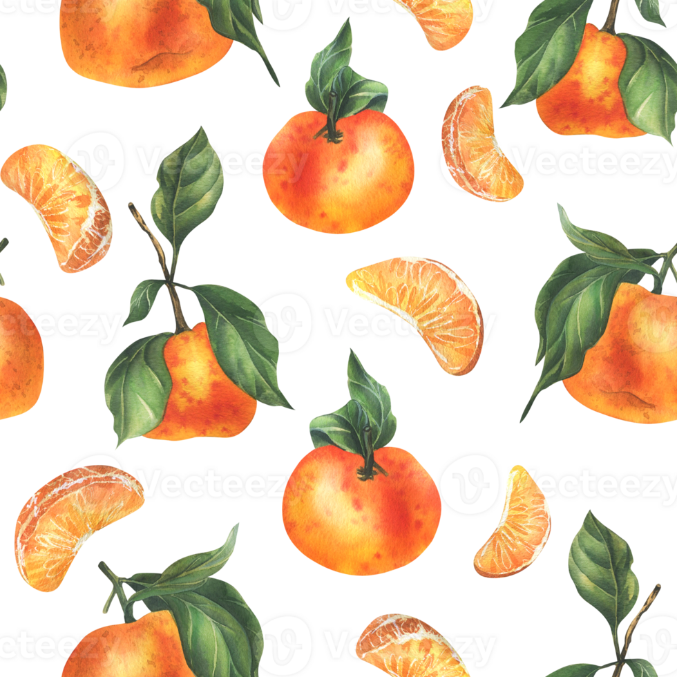 Orange tangerines with green branch and leaves, citrus tropical fruit, whole and slices. Watercolor illustration, hand drawn. Seamless pattern png