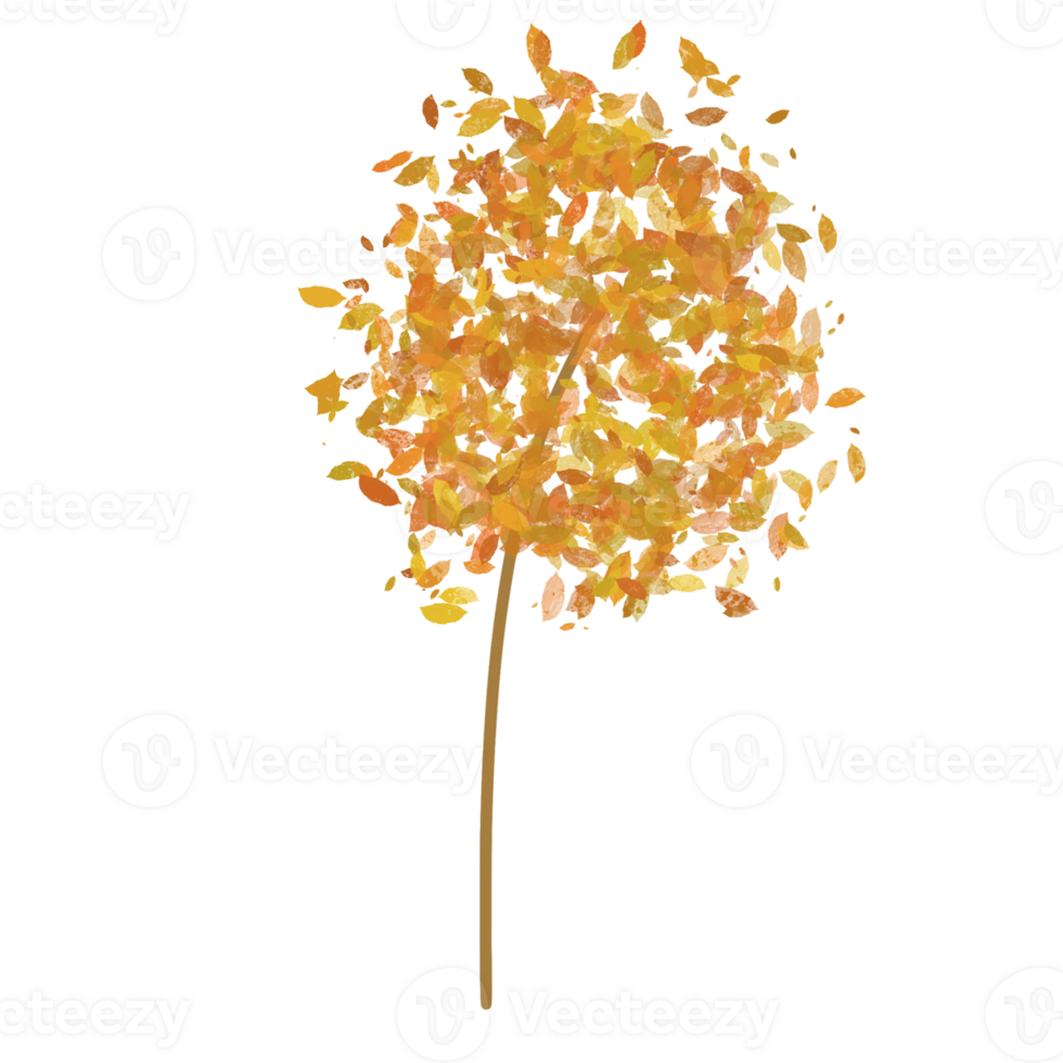 forest tree plants png