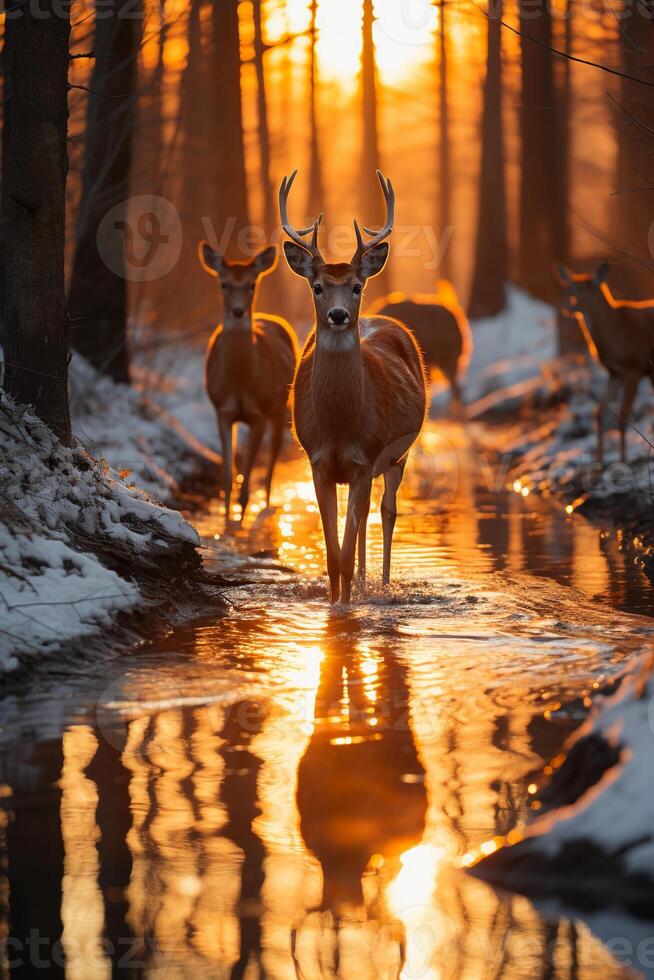 Stunning photography of a herd of deer in frozen forest. AI generative photo