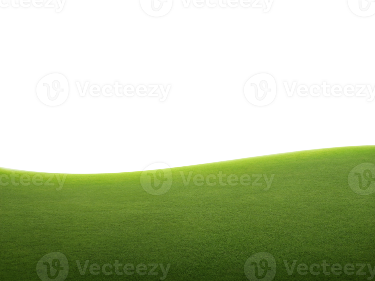 green grass field, transparent background png