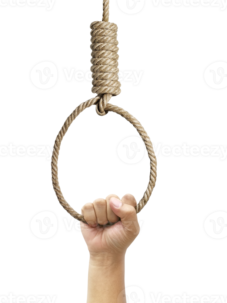 Hand holding rope noose with hangman's knot hanging, transparent background png