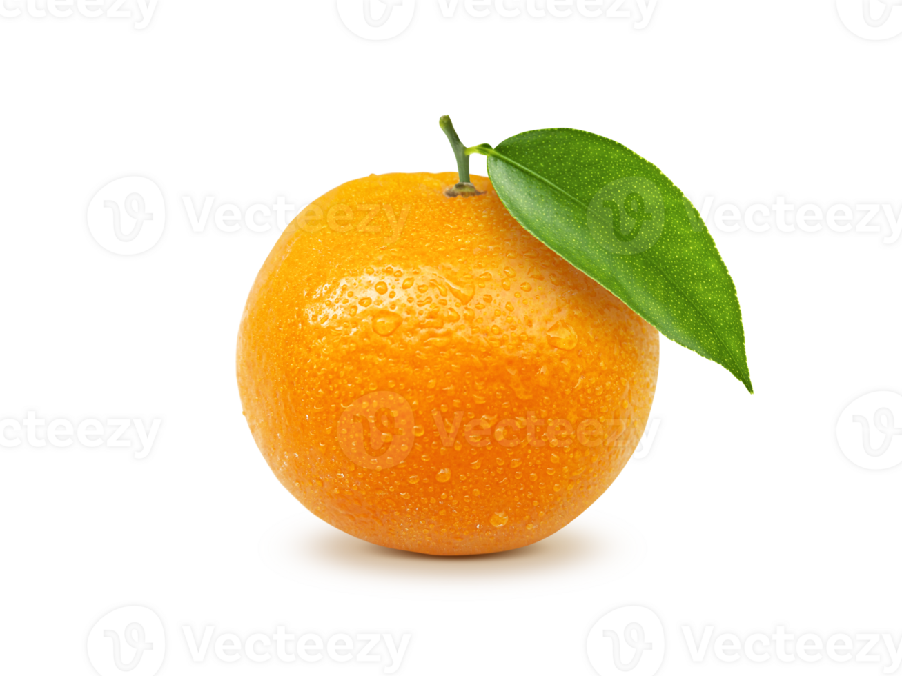 mogen orange. transparent bakgrund png