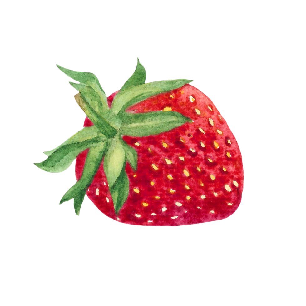 Beautiful watercolor illustration of strawberry fruit png