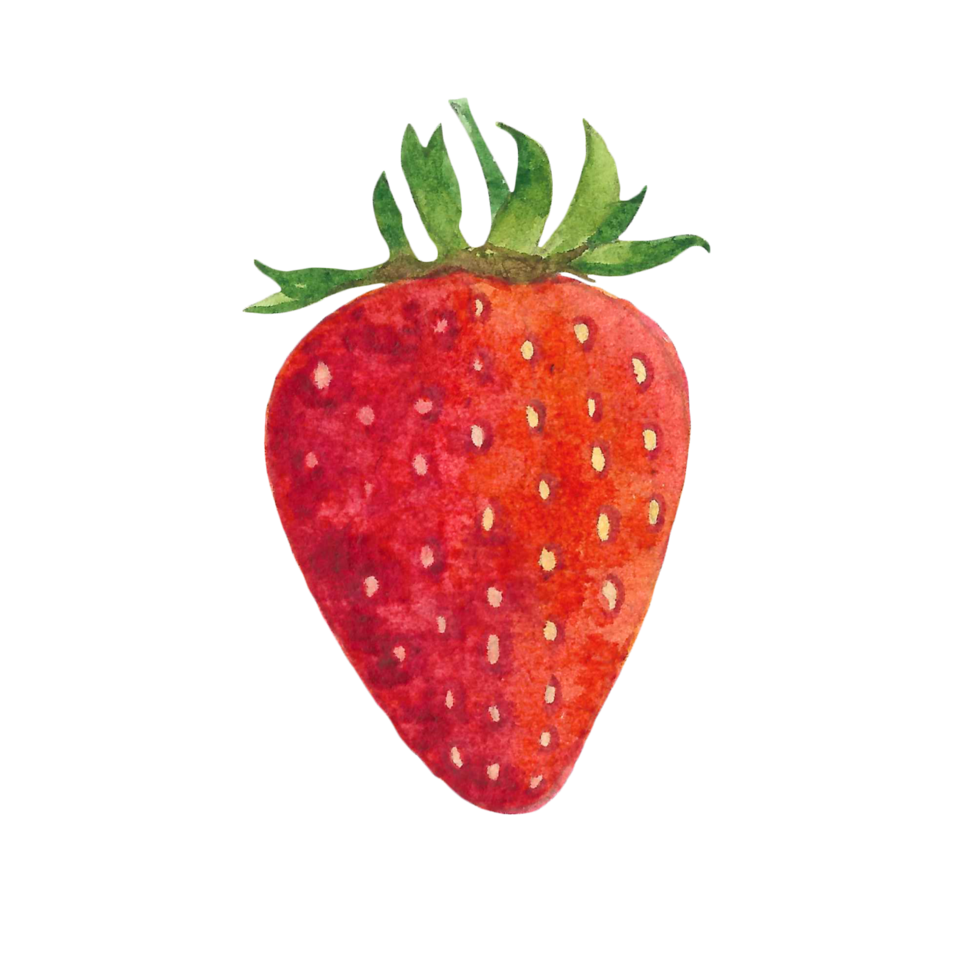 Beautiful watercolor illustration of strawberry fruit png