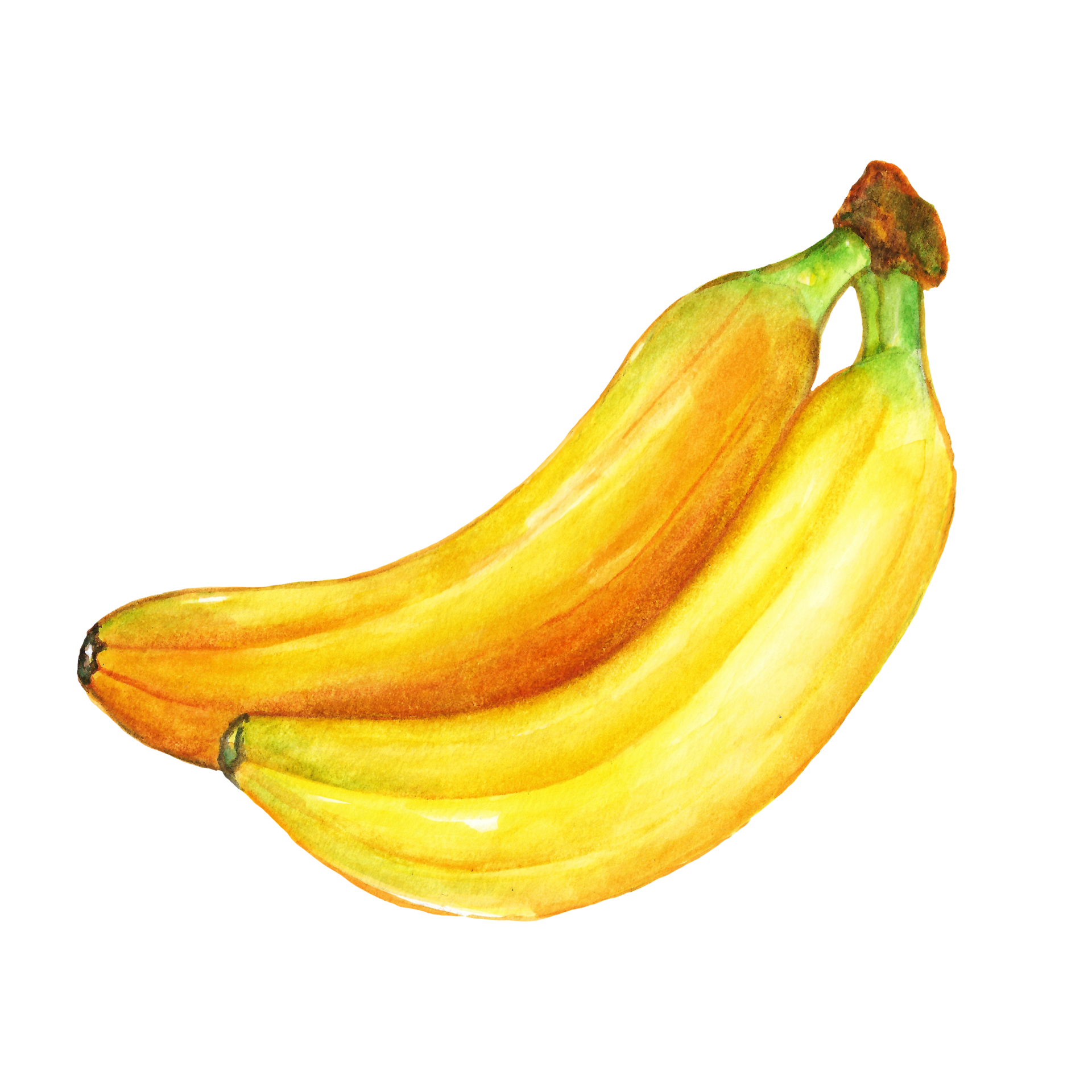 Watercolor painted banana, Hand drawn ripe banana 25217830 PNG
