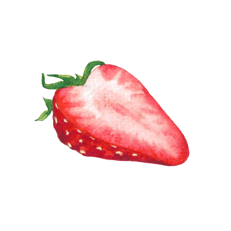 Beautiful watercolor illustration of strawberry fruit png