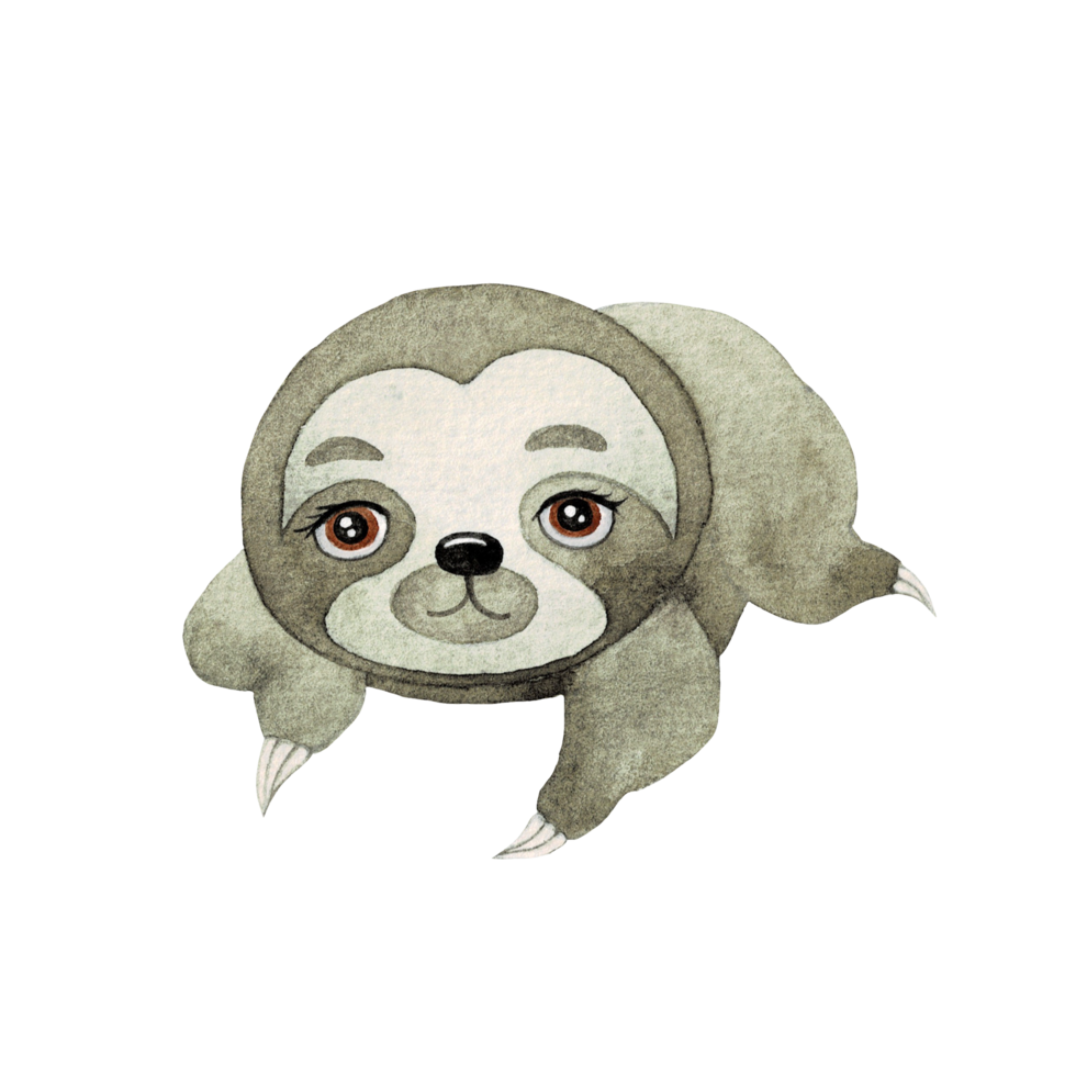 Cute Sloth watercolor, cute cartoon animal character png