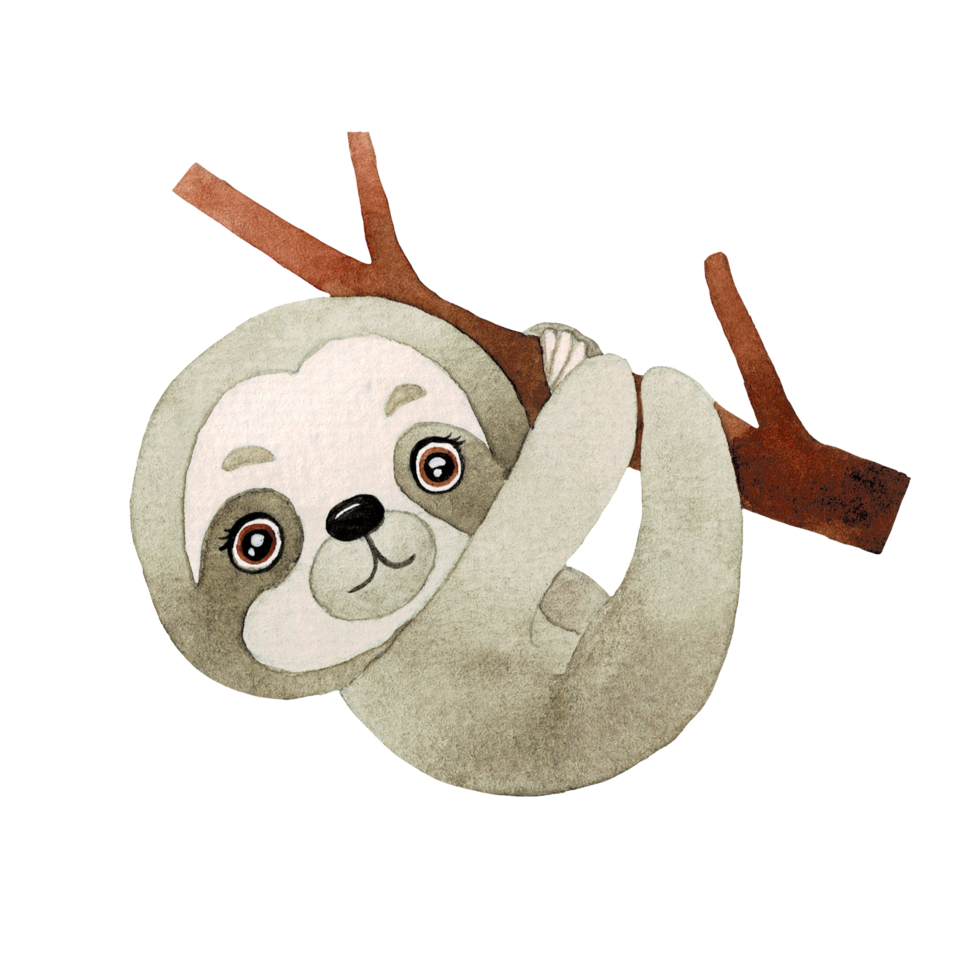 Cute Sloth watercolor, cute cartoon animal character png