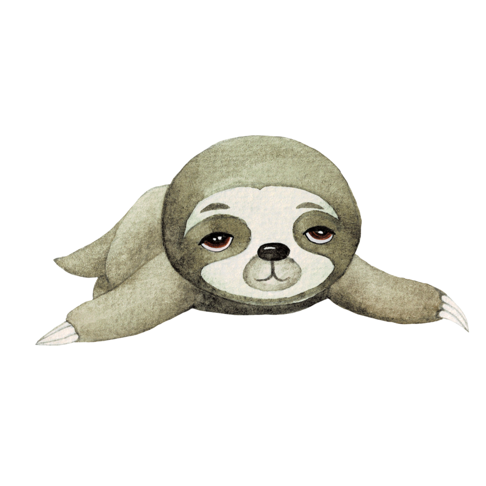 Cute Sloth watercolor, cute cartoon animal character png