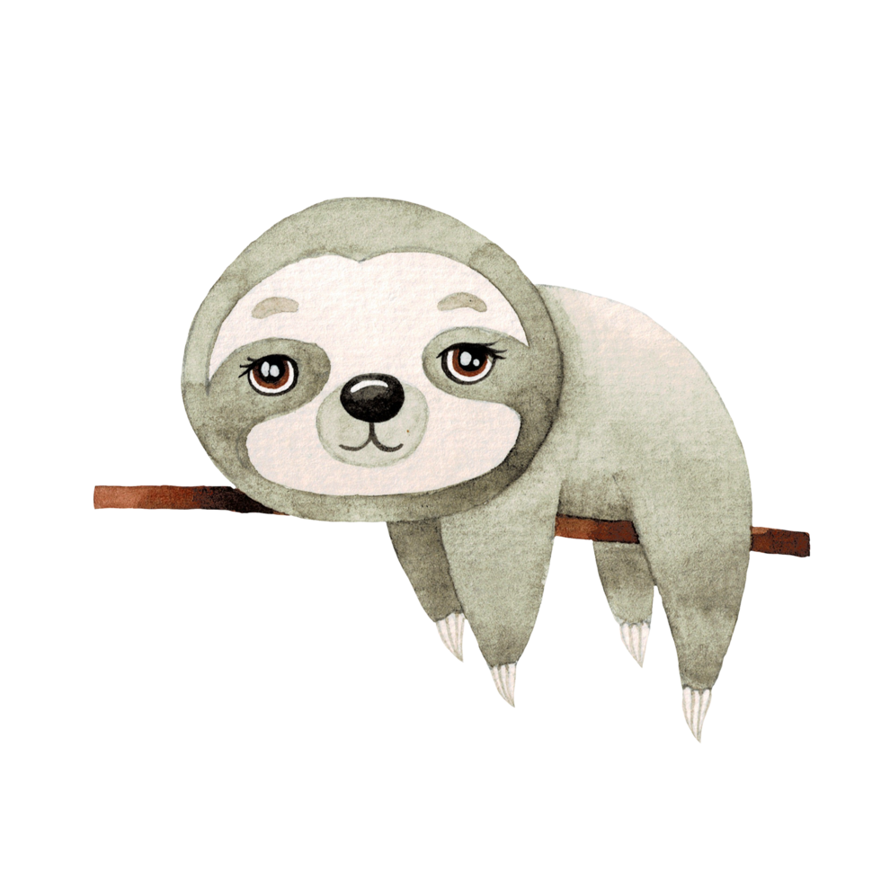 Cute Sloth watercolor, cute cartoon animal character png