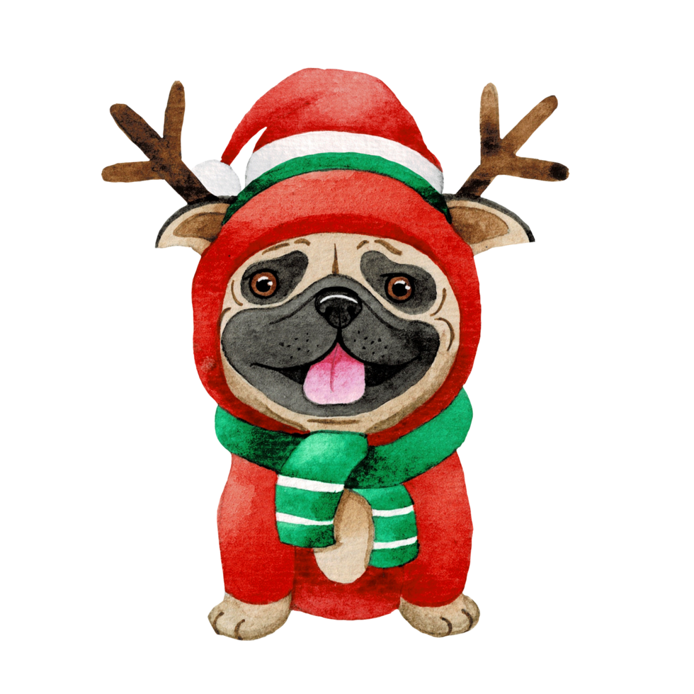 Happy animal character with Christmas hat , cute animal watercolor png