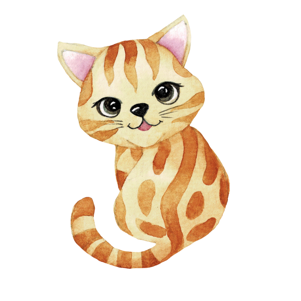Cartoon animal watercolor illustration with cat png