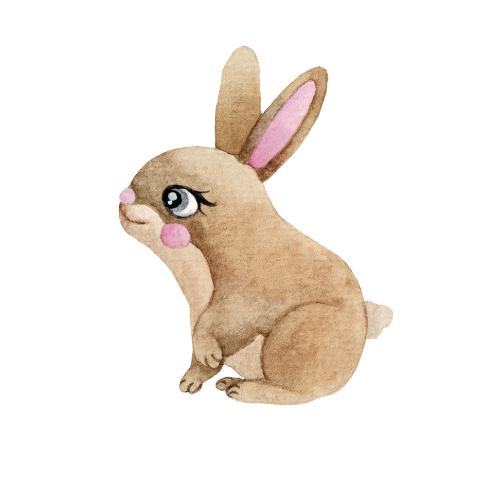 dessin animé animal aquarelle illustration avec lapin png