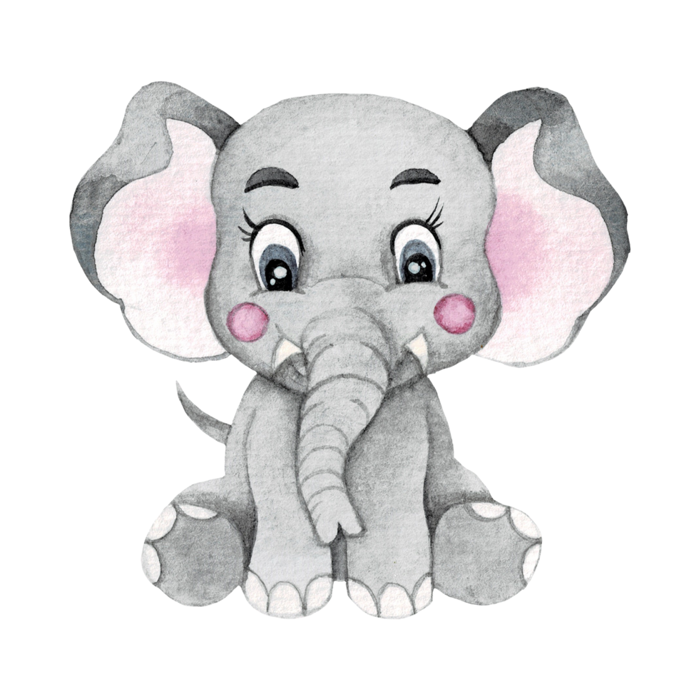 Cartoon animal watercolor illustration with elephant png