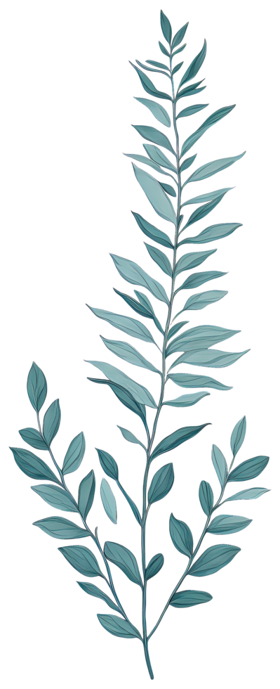 Watercolor green leaf. png