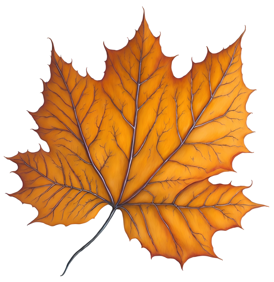 Watercolor autumn leaf. AI Generative png