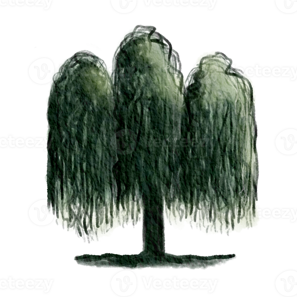 scaring tree isolated png