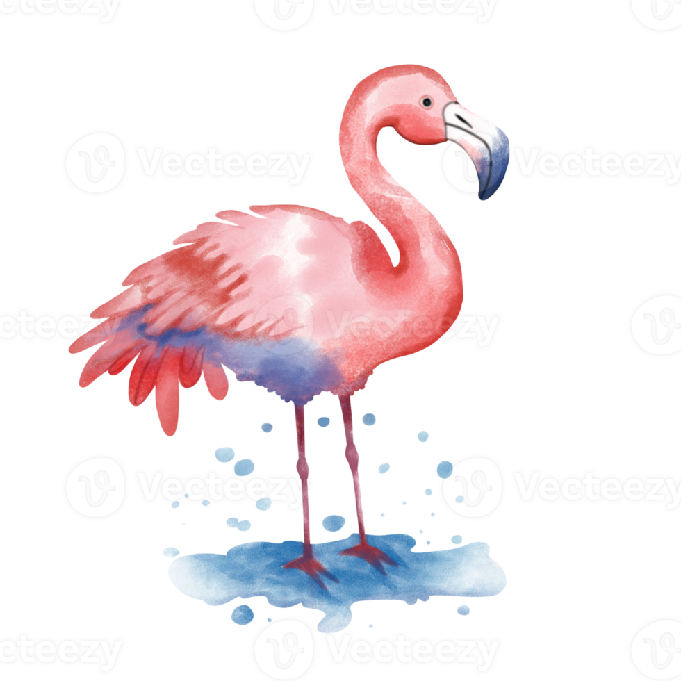 Happy cute flamingo png