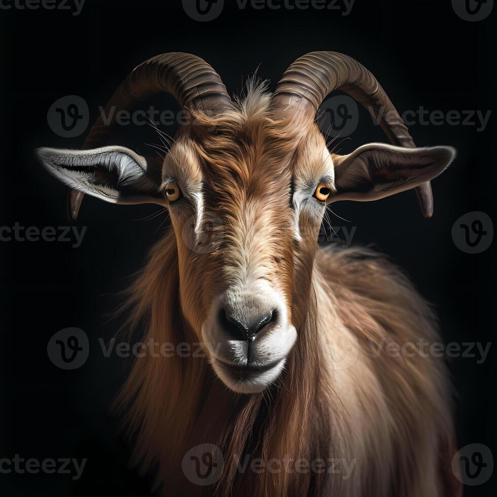 retrato de un cabra cara disparo, de cerca, aislado en negro antecedentes. generativo ai foto
