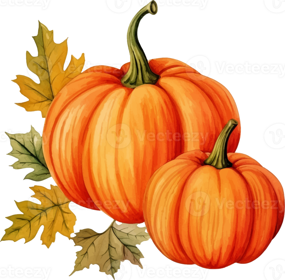 watercolor pumpkin painting png