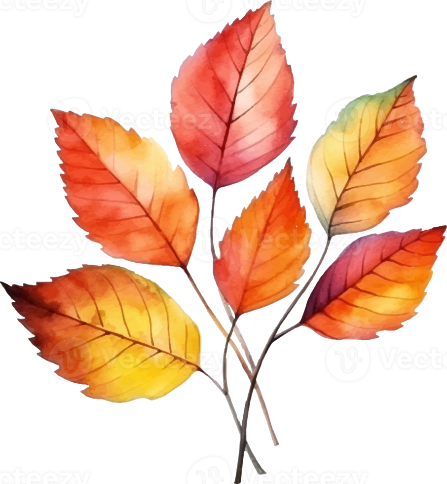 autumn harvest watercolor ai generate png