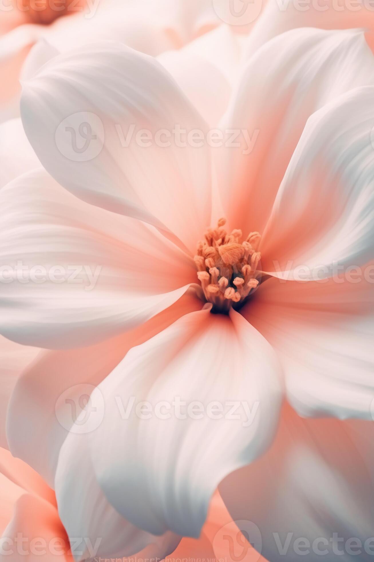 depictions of flowers and natural forms. 25220522 Stock Photo at Vecteezy