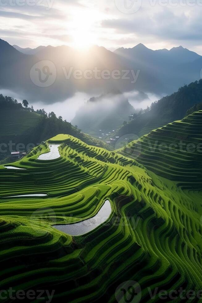 The sun rises over a hillside with grassy fields and an area with a hill. photo