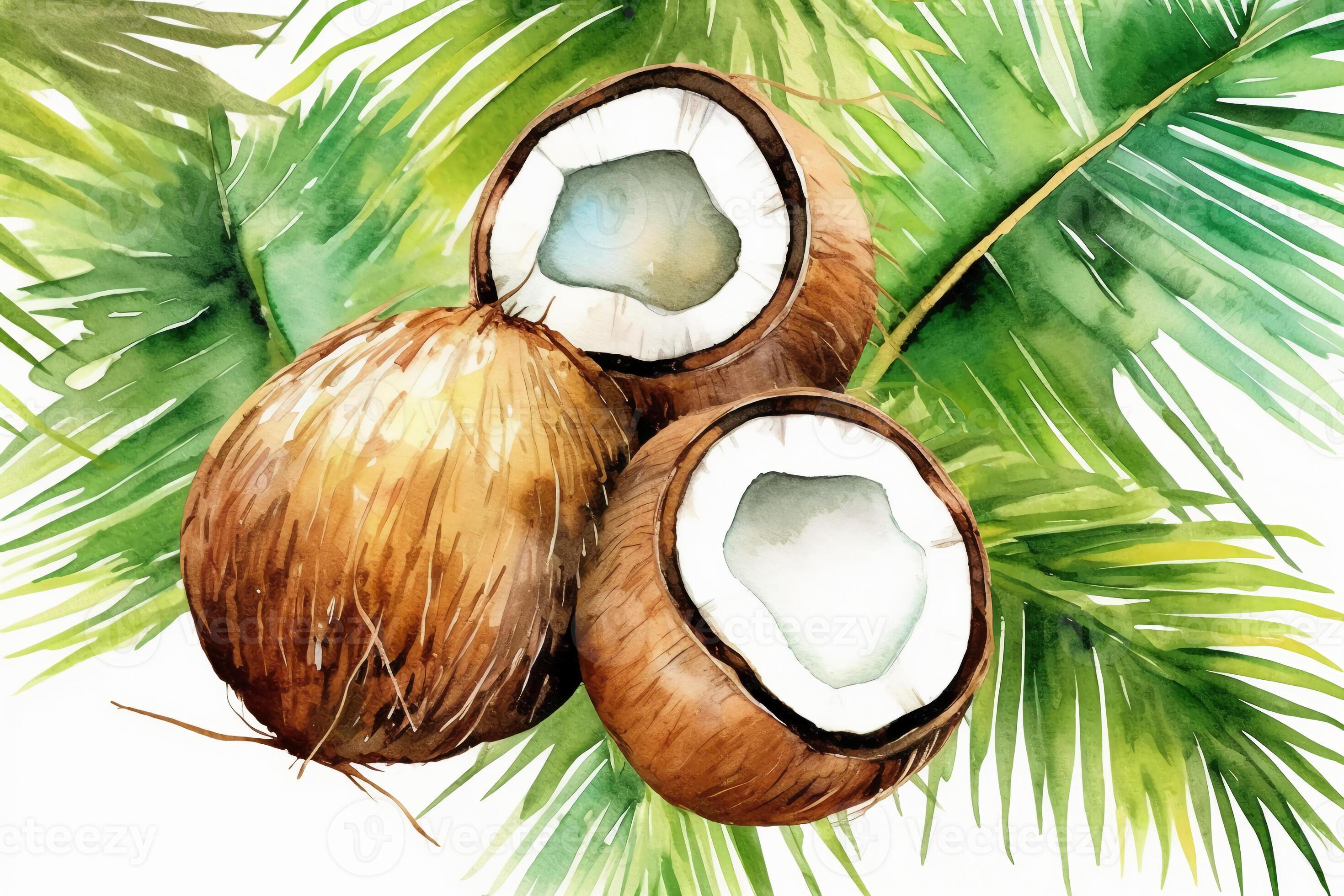 Quirky coconuts in palm trees in the style of watercolor painting, on a
