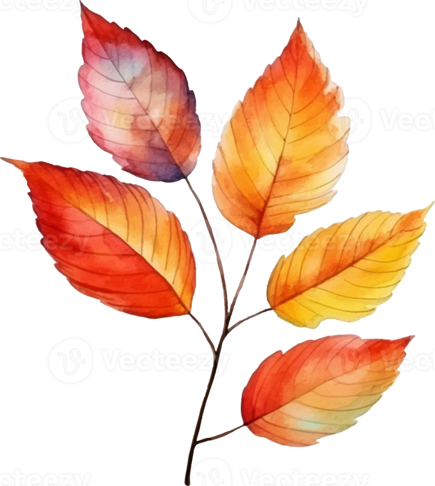 autumn harvest watercolor ai generate png
