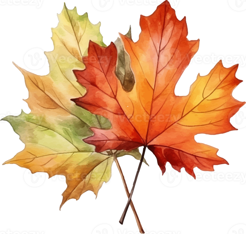 autumn harvest watercolor ai generate png