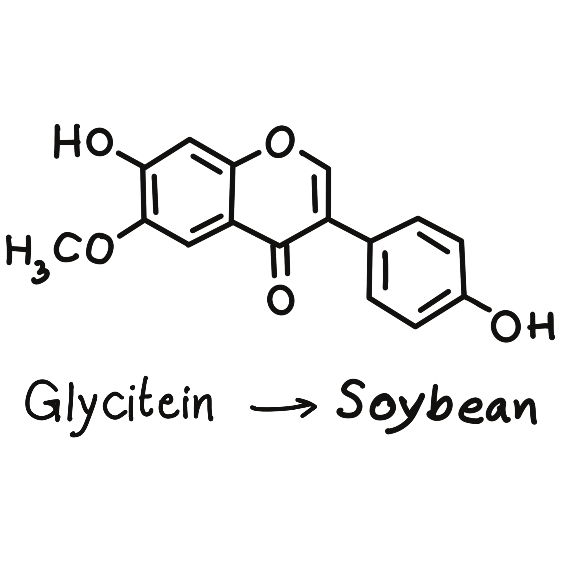 chemical-structures-in-food-and-what-we-eat-every-day-25221928-png