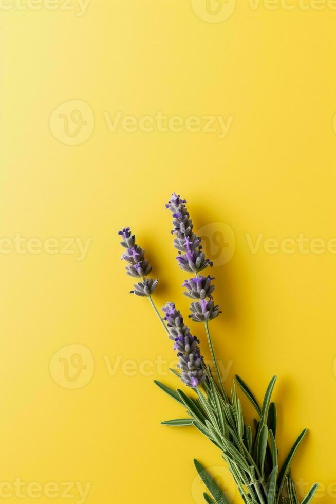 un pequeño lavanda en todas lados de el fotografía. ai generativo foto