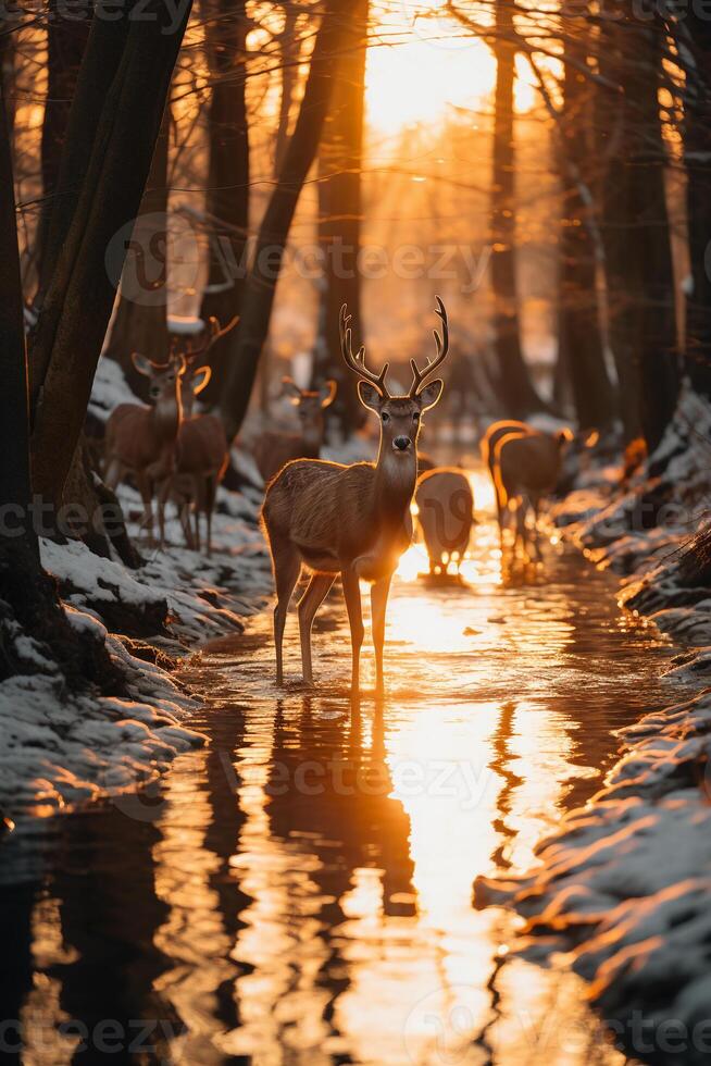 Stunning photography of a herd of deer in frozen forest. AI generative photo