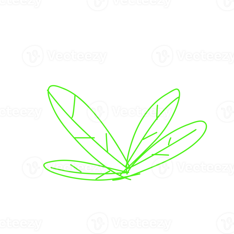 This is a leaf png
