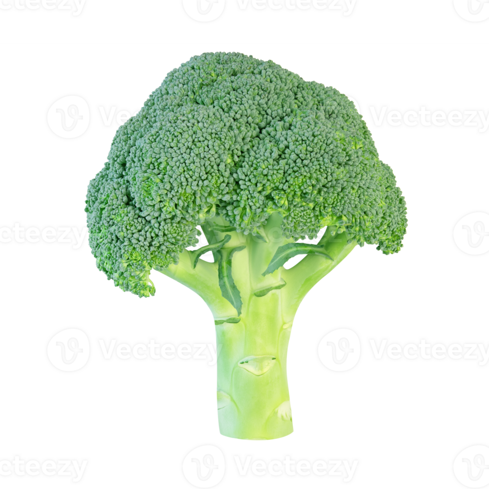 Perfect fresh broccoli cabbage isolated on a transparent background. Stock photography png