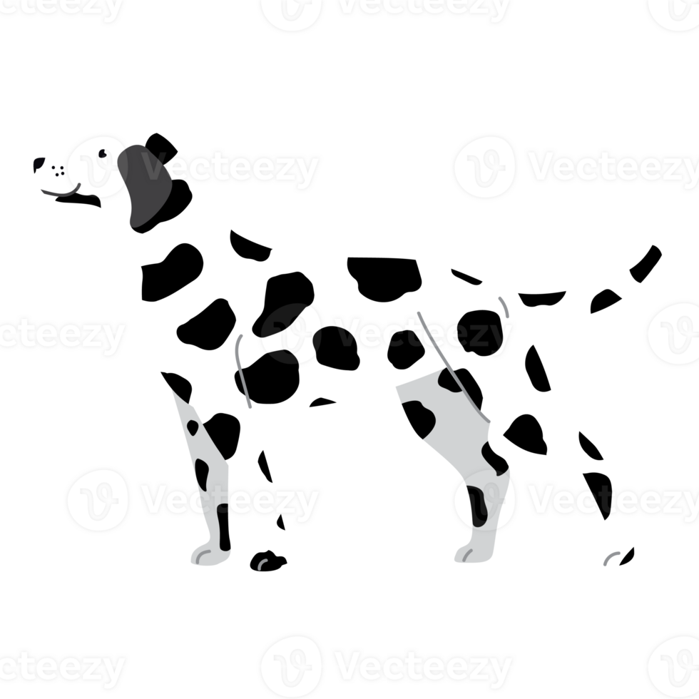 standing dalmatain dog design png