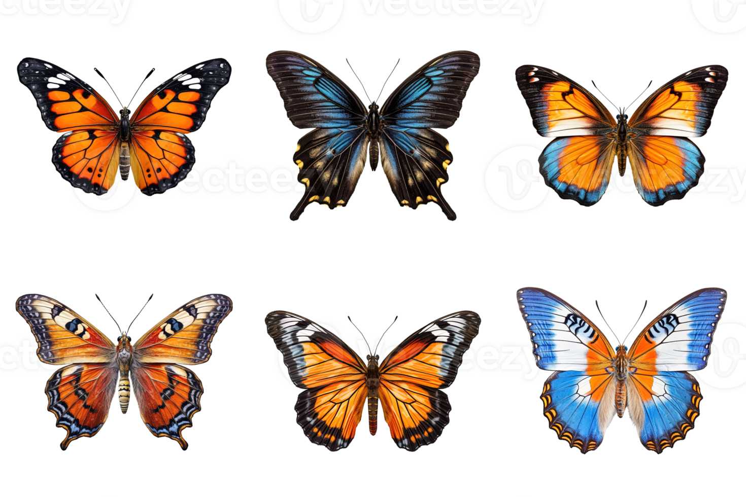 Collection of multicolored butterflies isolated on transparent background. png