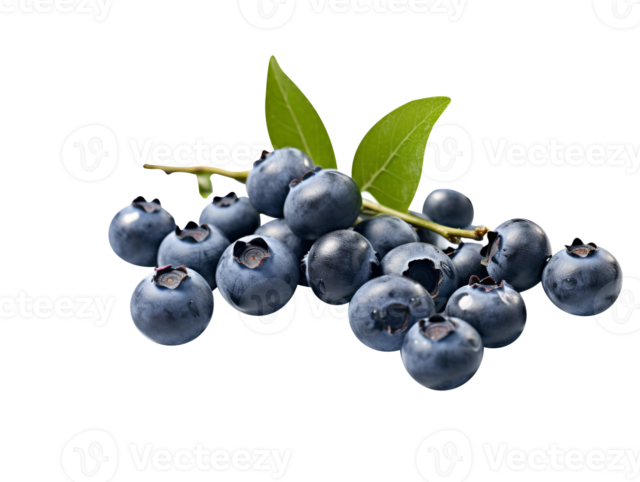 Bunch of fresh blueberries isolated on transparent background png