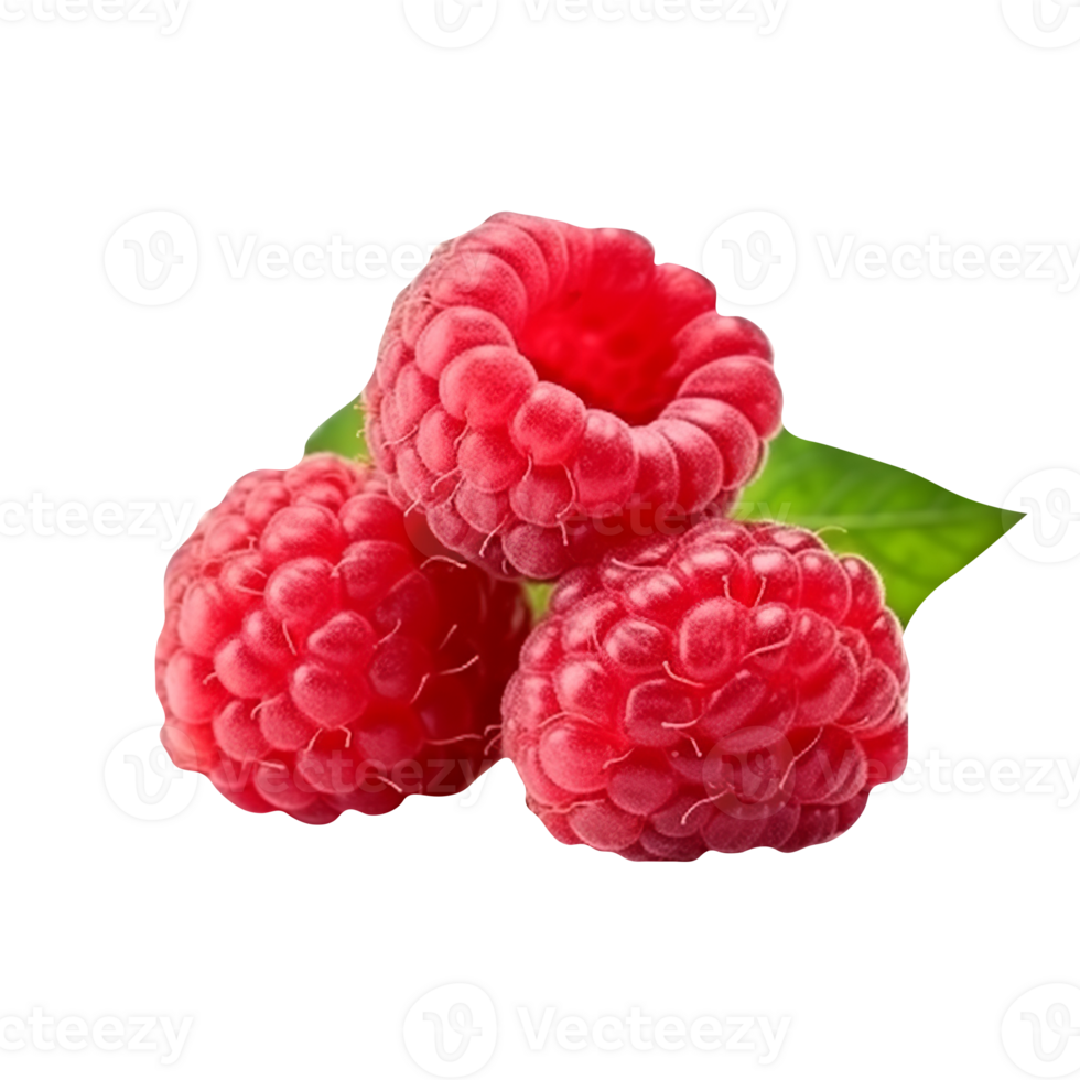 Fresh tasty raspberries isolated on transparent background png