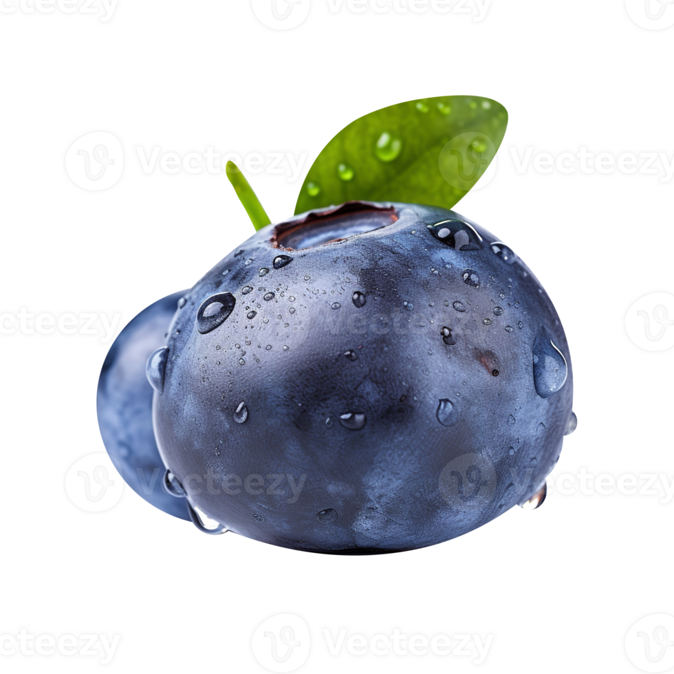 Fresh blueberries pair isolated on transparent background png