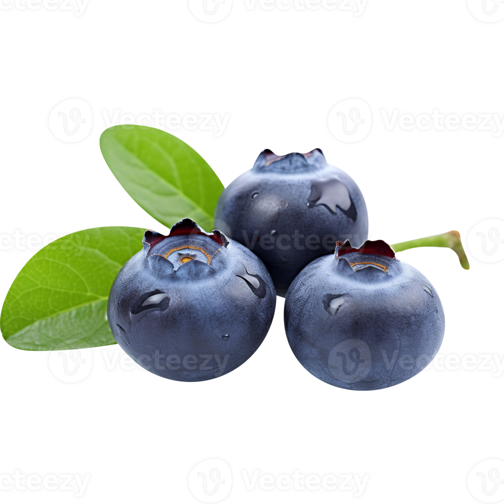 Fresh blueberries pair isolated on transparent background png