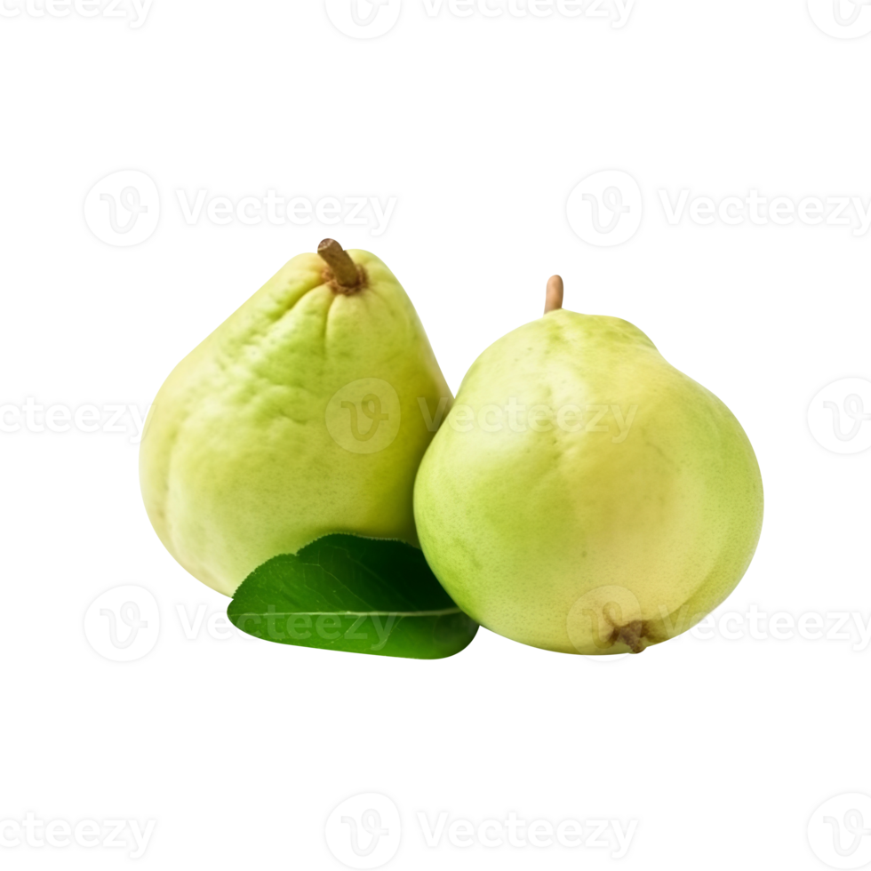 Fresh guava fruit pair isolated on transparent background png