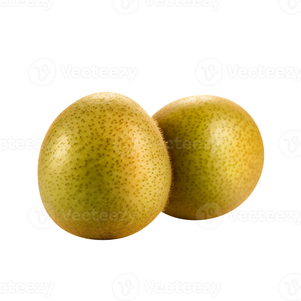 Freh kiwi fruit isolated on transparent background png